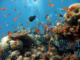 Sharm el-Sheikh, Egypt