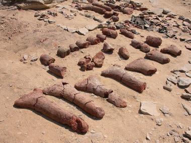 Horní Egypt - pohled na vykopávky Hierakonpolisu