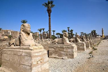 Sfingová alej - chrám v egyptském Luxoru