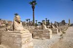 Sfingová alej - chrám v egyptském Luxoru