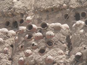 Střední Egypt - pohled na vykopávky ve Fayumu