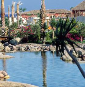 Egyptský hotel Oriental Beach Resort se zahradou