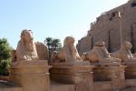 Sfingy před chrámem Amona